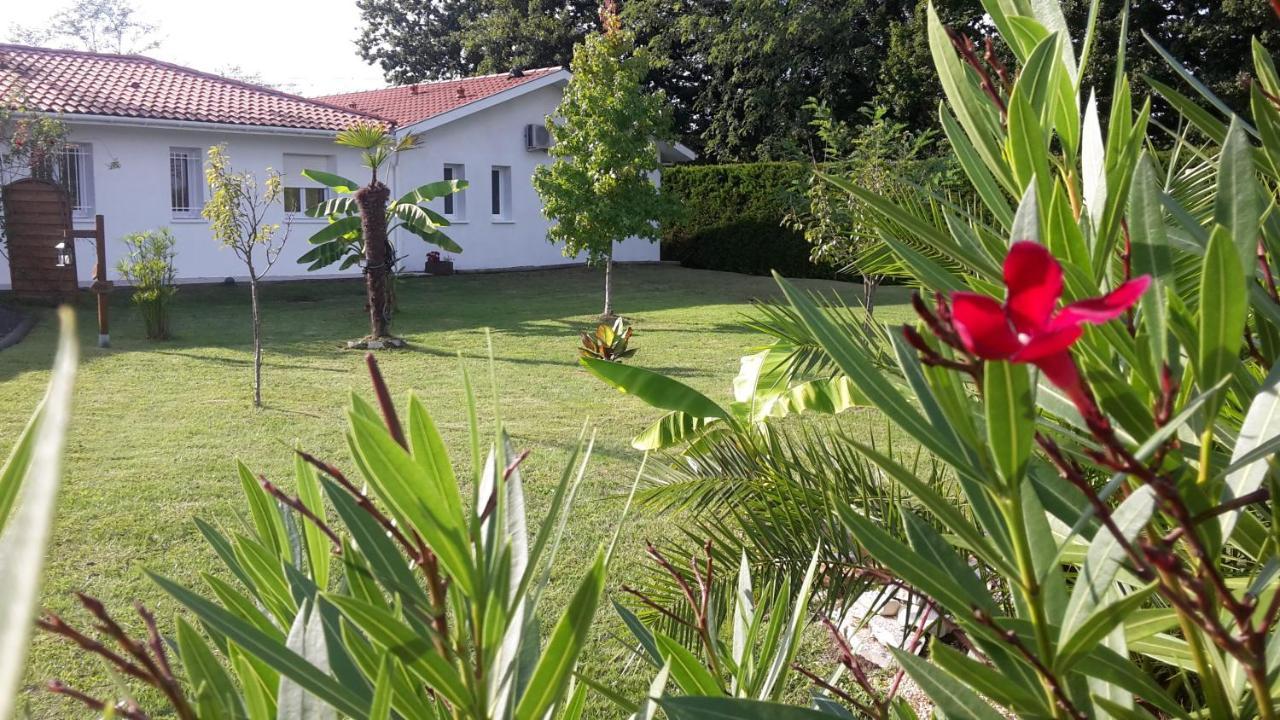 Chambres D'Hotes - Le Petit Bali Saint-Pandelon Zewnętrze zdjęcie